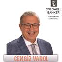 Cengiz Varol