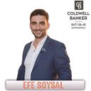 Efe Soysal