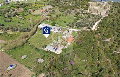 İzmir Karaburun Eğlenhoca'da 6.800 m² Satılık Çiftlik