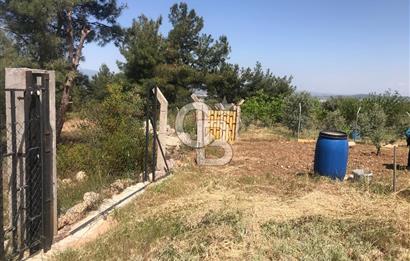 Satılık Bağ Bahçe Yapı Kayıt Belgeli Menderes Akçaköy