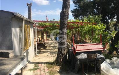 Satılık Bağ Bahçe Yapı Kayıt Belgeli Menderes Akçaköy